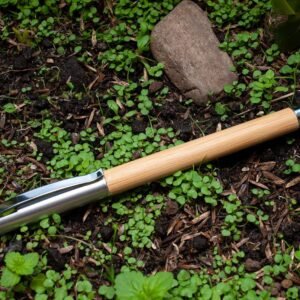 import placeholder for 8098