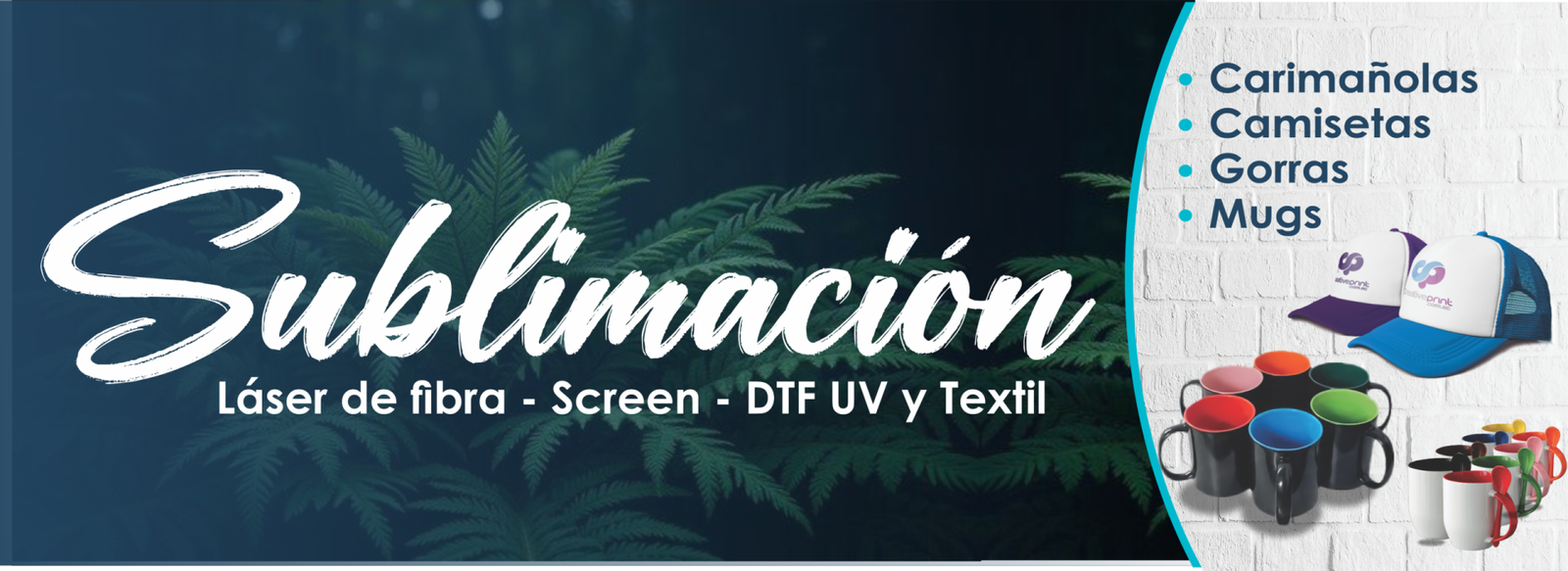 recuperada basner pagina pagina